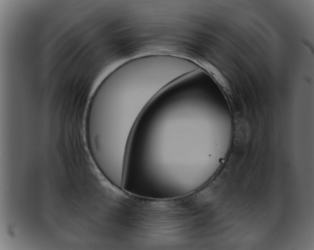 X0000095690904200801081036