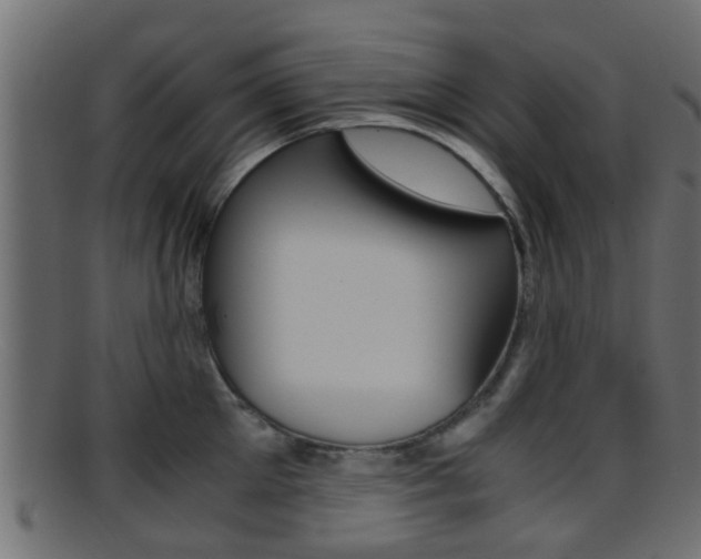 X0000095690905200801081036