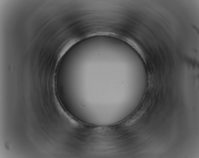 X0000095690906200801081036
