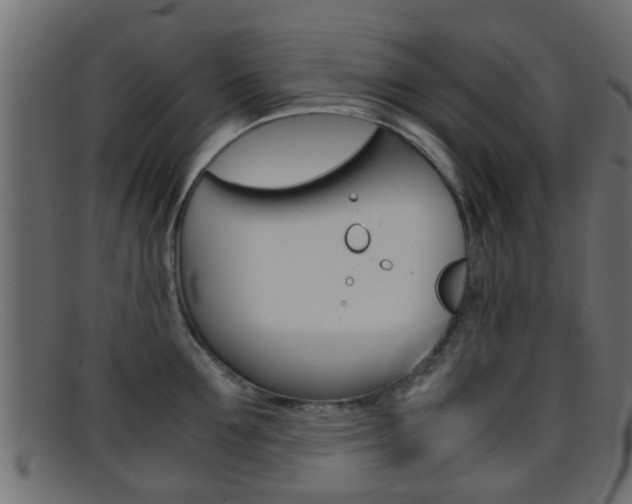 X0000095690907200801081036
