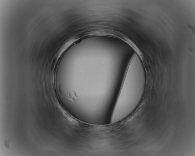 X0000095690909200801081036