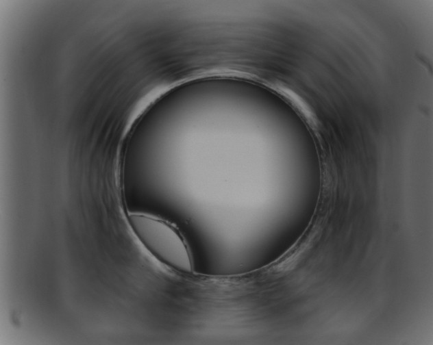 X0000095690910200801081036