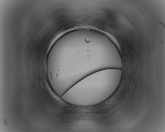 X0000095690911200801081036