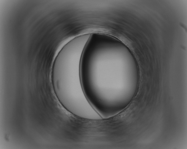 X0000095690912200801081036
