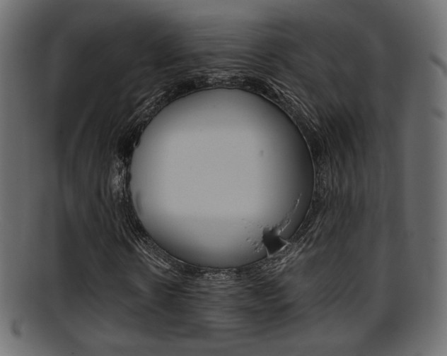 X0000095690914200801081035