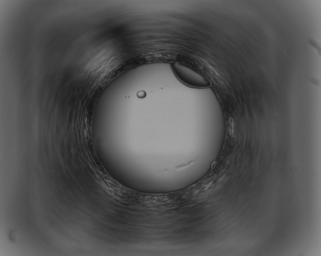 X0000095690915200801081035