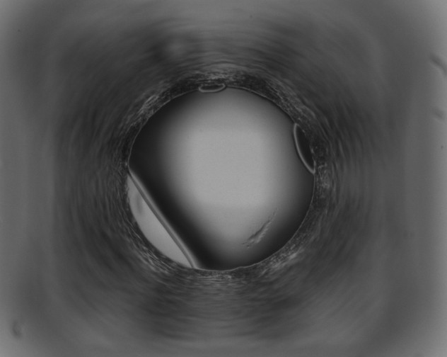 X0000095690916200801081035