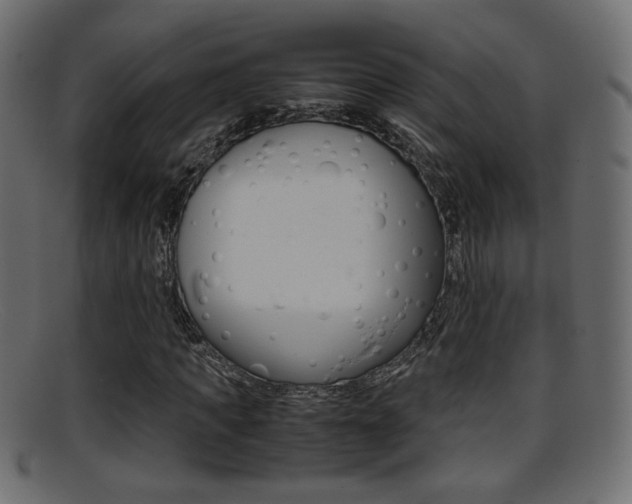 X0000095690917200801081035