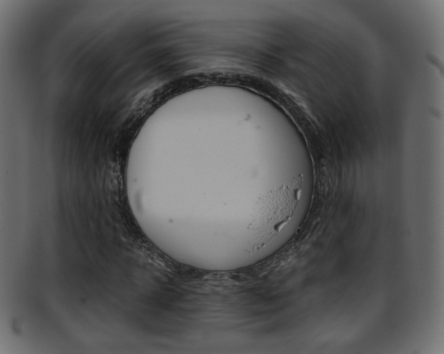 X0000095690918200801081035