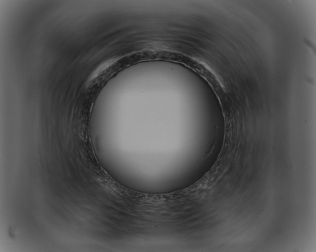 X0000095690919200801081035