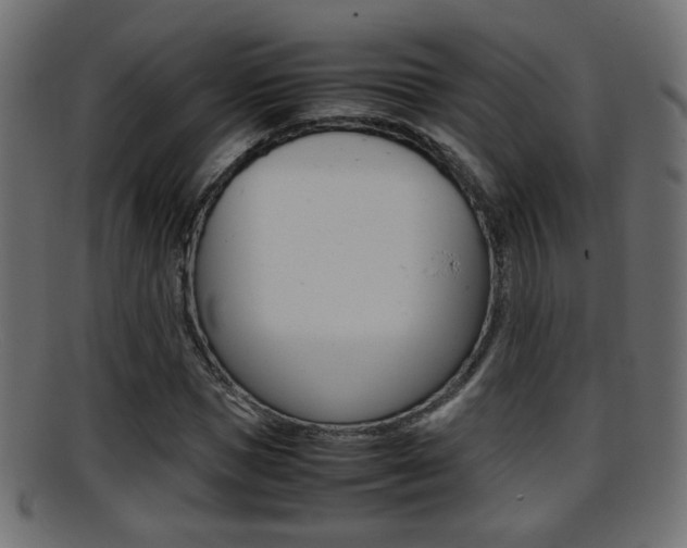 X0000095690921200801081035
