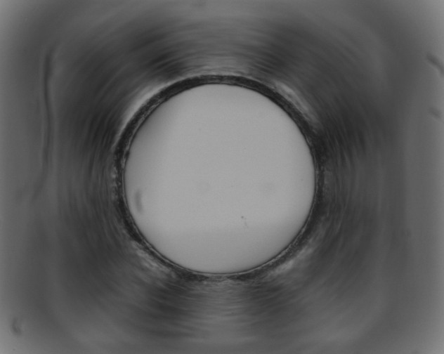 X0000095690926200801081035