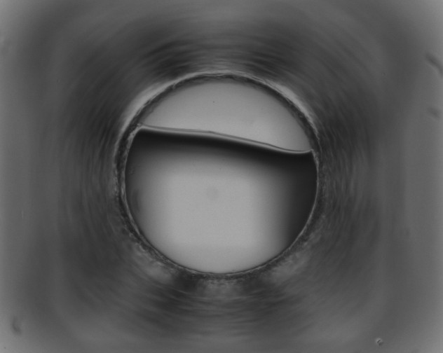 X0000095690927200801081035