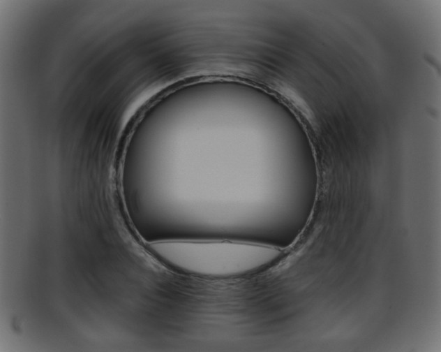 X0000095690928200801081036