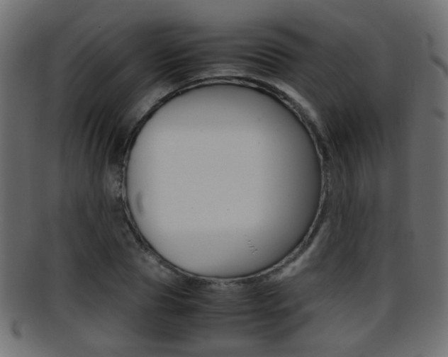 X0000095690929200801081036