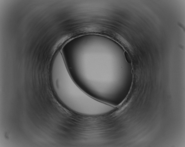 X0000095690930200801081036