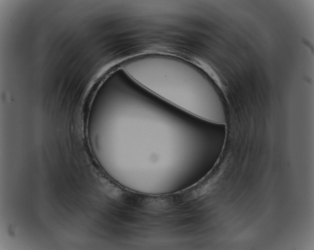 X0000095690931200801081036