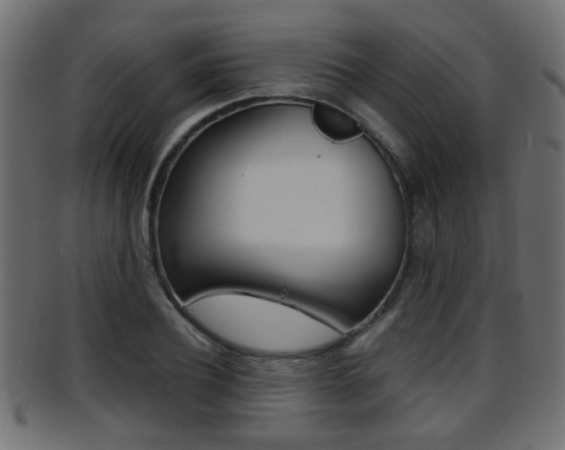 X0000095690932200801081036