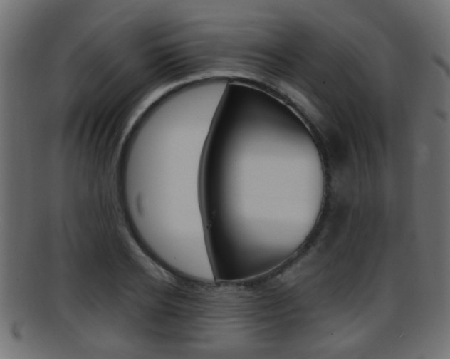 X0000095690934200801081036