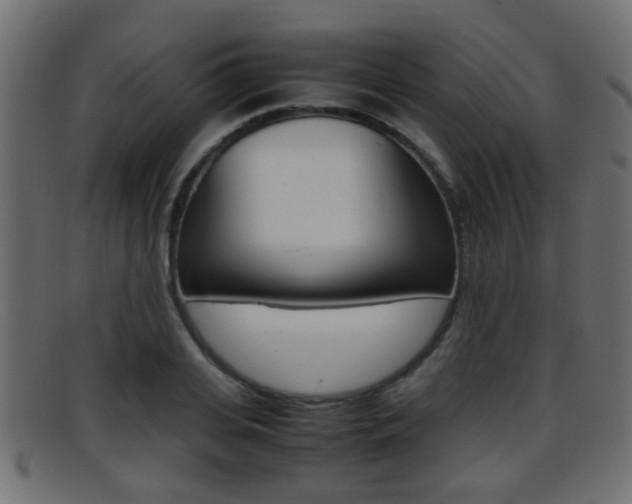 X0000095690935200801081036