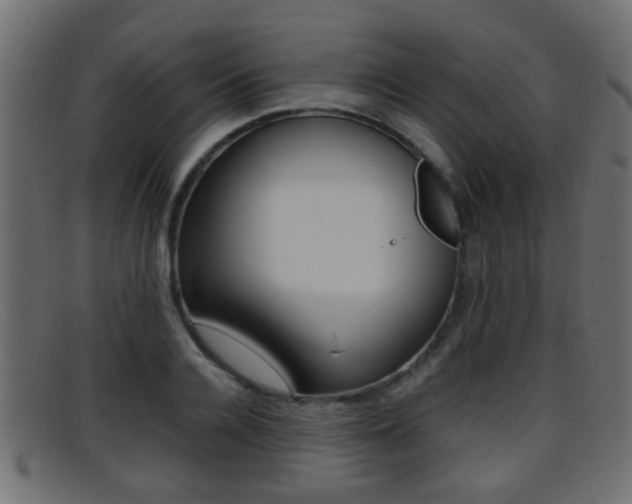 X0000095690936200801081036