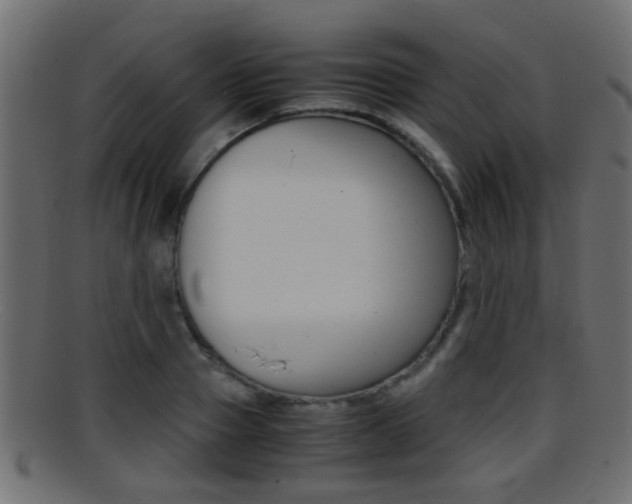 X0000095690937200801081036
