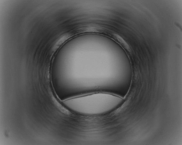 X0000095690938200801081036