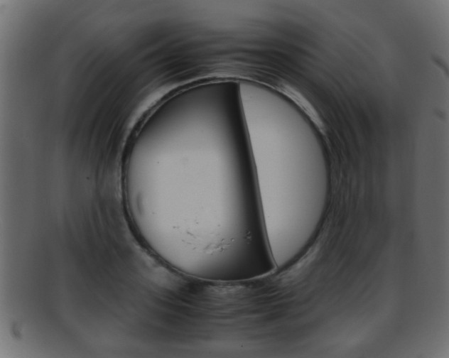 X0000095690939200801081036