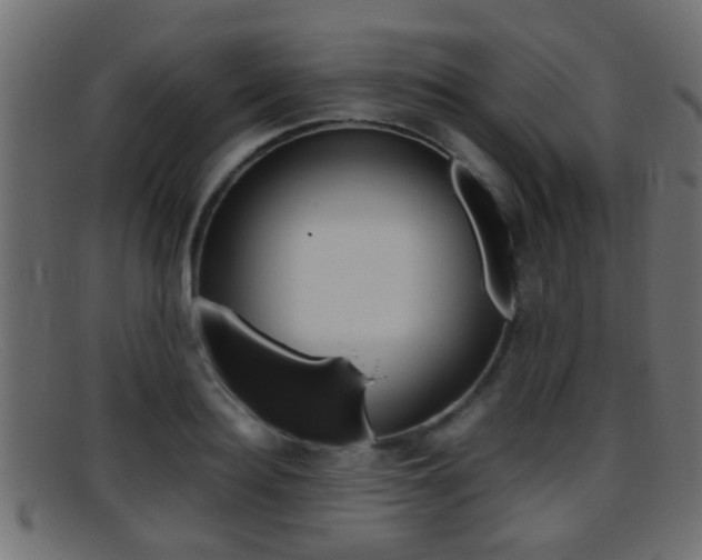 X0000095690940200801081036