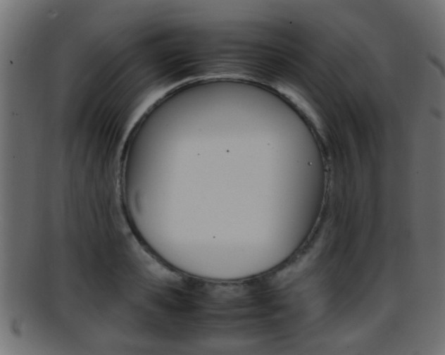 X0000095690941200801081036
