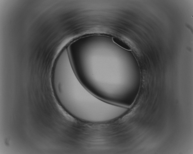 X0000095690942200801081036