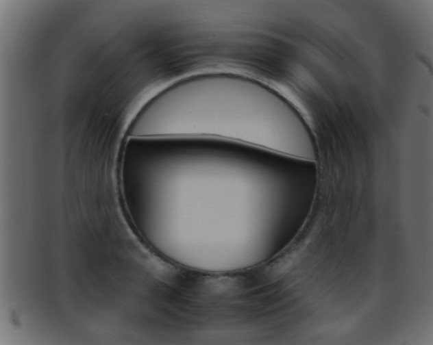 X0000095690943200801081036