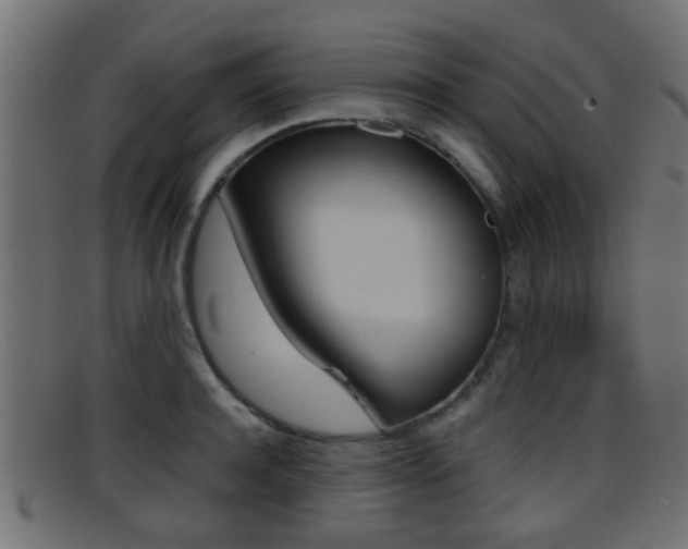 X0000095690944200801081036