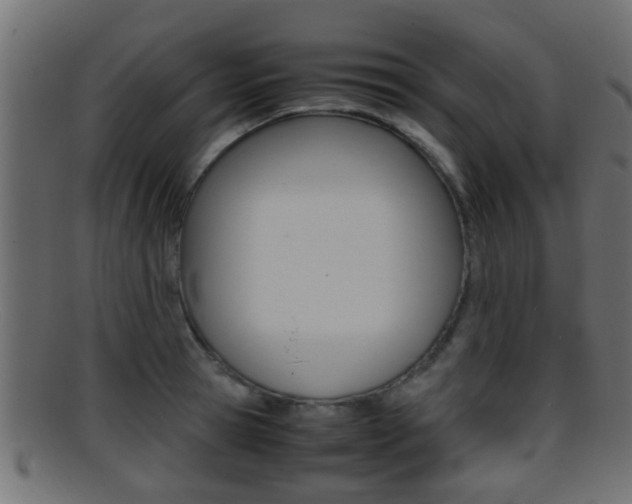 X0000095690945200801081036
