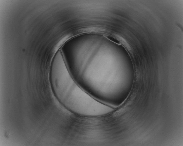 X0000095690946200801081036