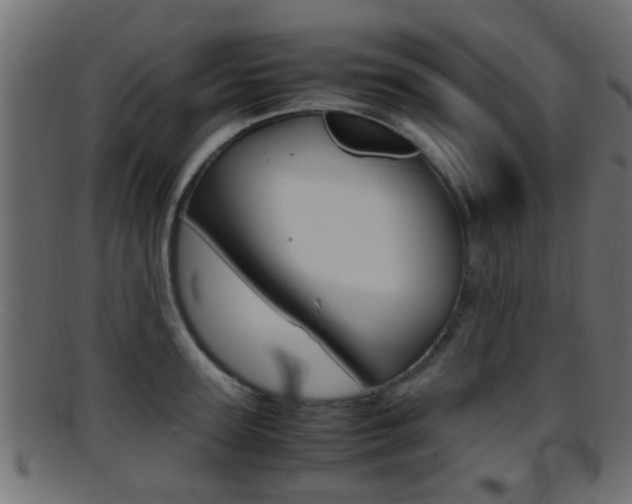 X0000095690947200801081036