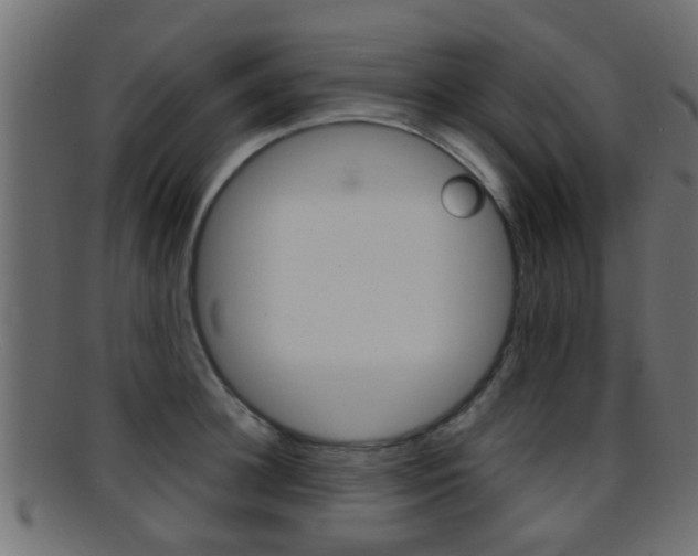 X0000095690948200801081036