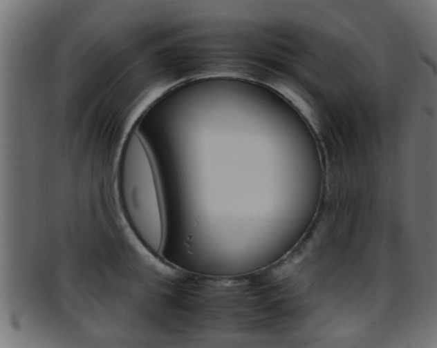 X0000095690949200801081036