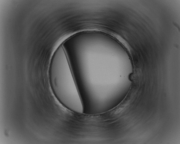 X0000095690951200801081036