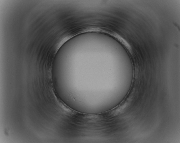 X0000095690953200801081036