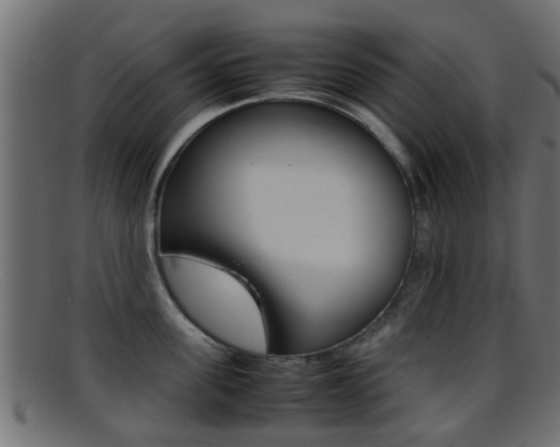 X0000095690955200801081036