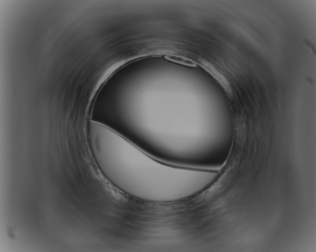 X0000095690956200801081036