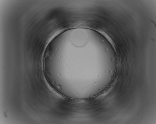 X0000095690957200801081036