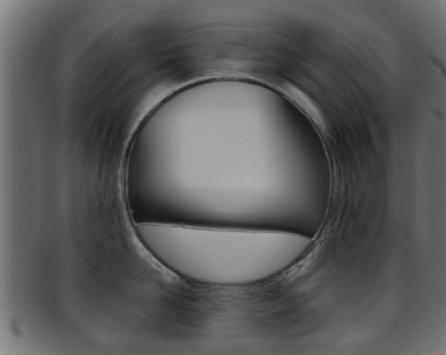X0000095690958200801081036