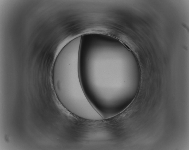 X0000095690960200801081036