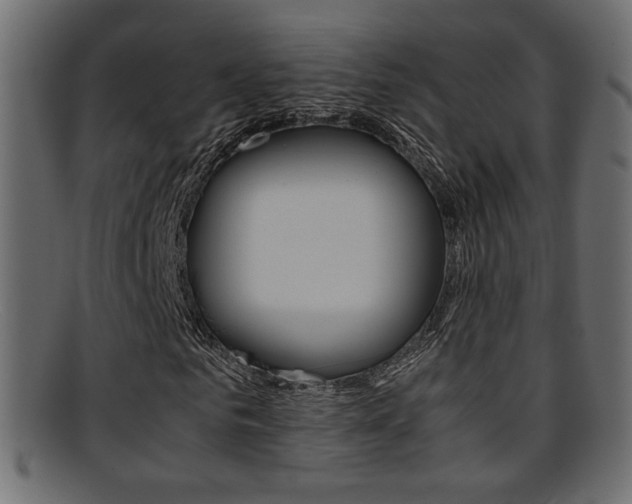 X0000095690961200801081035