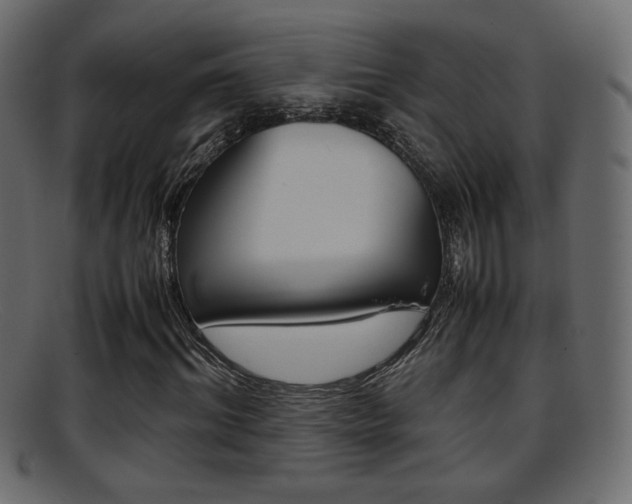 X0000095690964200801081035