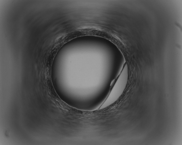 X0000095690965200801081035