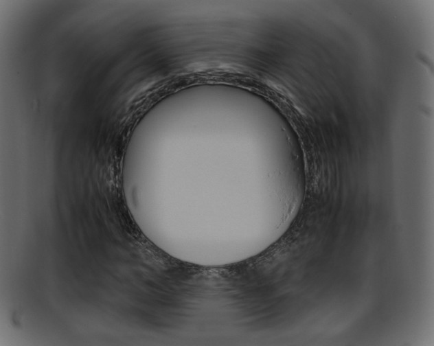 X0000095690966200801081035