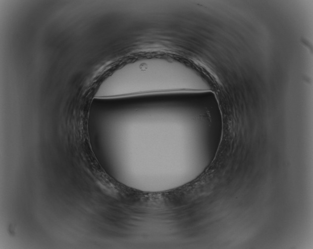 X0000095690968200801081035